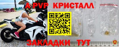 гидра Можга