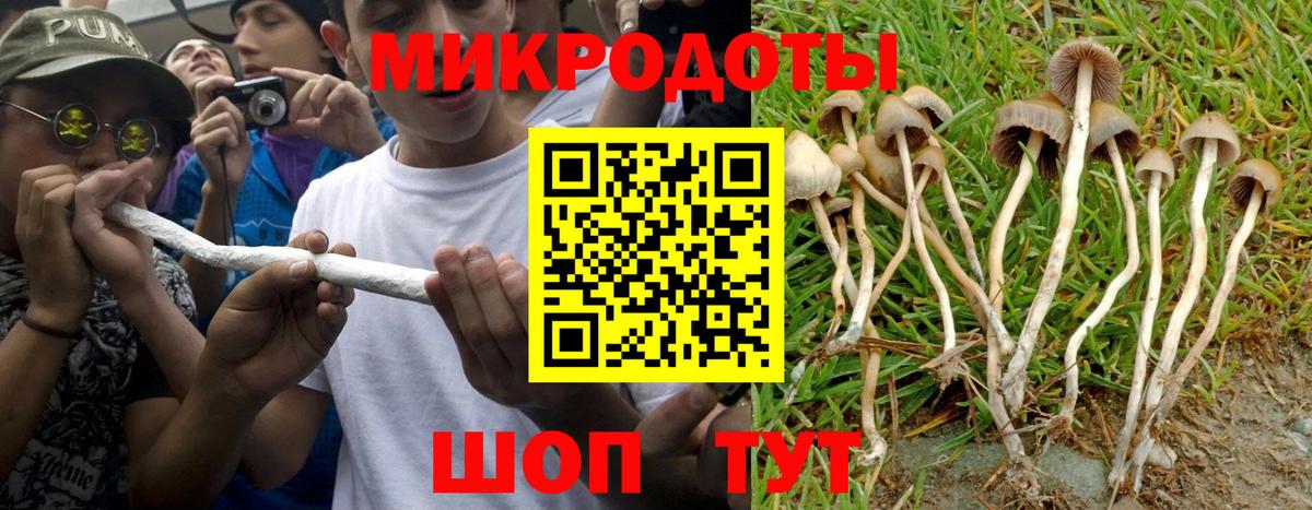 Ялуторовск  Галлюциногенные грибы MAGIC MUSHROOMS  Вход с VPN  Псилоцибиновые грибы прущие грибы 