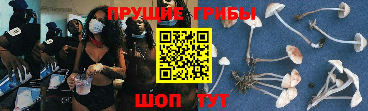 Галлюциногенные грибы Magic Shrooms Ялуторовск